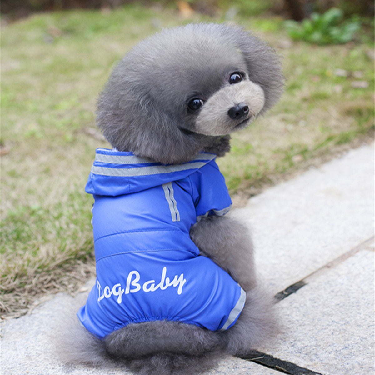 猫 犬 洋服 犬服 ペット服 大中小型犬 ペット用品 犬/猫用 犬の服 ペットウエア 小型犬 中型犬 通気 可愛い ドッグウェア トレーナー 犬 服 ワンピース サロペット ビションフリーゼ 犬猫服