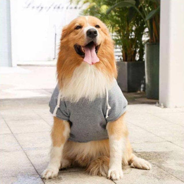 犬の服 全9サイズ・5色! ペット ジャンパー ペットウエア 全9サイズ・5色! 犬 長袖 ペット服 犬服 ドッグウェア アウター 中型犬 ドッグ服 小型犬 トレーナー 大型犬 タンクトップ フード付