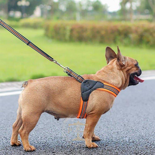 [高品質]ハーネス 犬 おしゃれ 小型犬 大型犬 中型犬 犬のハーネスリード 脱げない 発光バンド 散歩 首輪 ペット用品