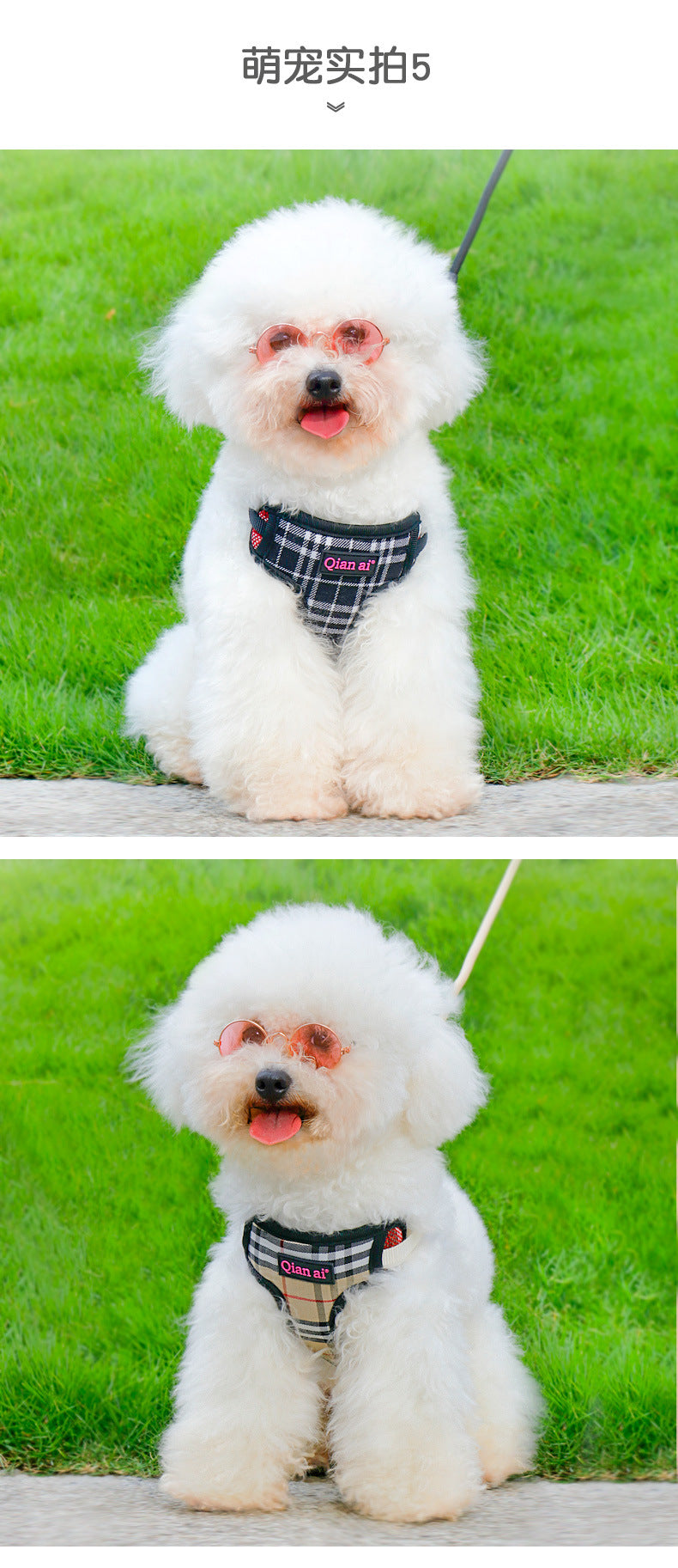 胴輪 リーシュ 2点セット ハーネスリードセット シンプル 犬用 簡単装着 ペット用品 リード 中型犬 犬 お出かけ ペットハーネス おしゃれ 犬用ハーネス 猫用 小型犬 軽量 ネコ用ハーネス ハーネ