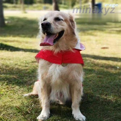 ドッグウェア レインコート カッパ 犬の服 雨具 パーカー フード 反射テープ 大型犬 中型犬 ブルー レッド イー ペット用品 お出掛け 雨の日