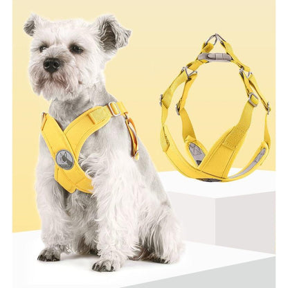 お出かけ ハーネス パステルカラー 小型犬 お散歩グッズ 単品 猫 かわいい ペット用 胴輪 おしゃれ バックル 中型犬 ドッグ 犬 キャット 動物