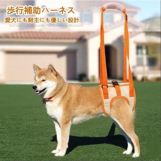 犬 介護ハーネス 後足用 歩行補助 ハーネス 歩行サポート 布製 メッシュ 軽量 SXLサイズ 老犬介護 シニア 老犬