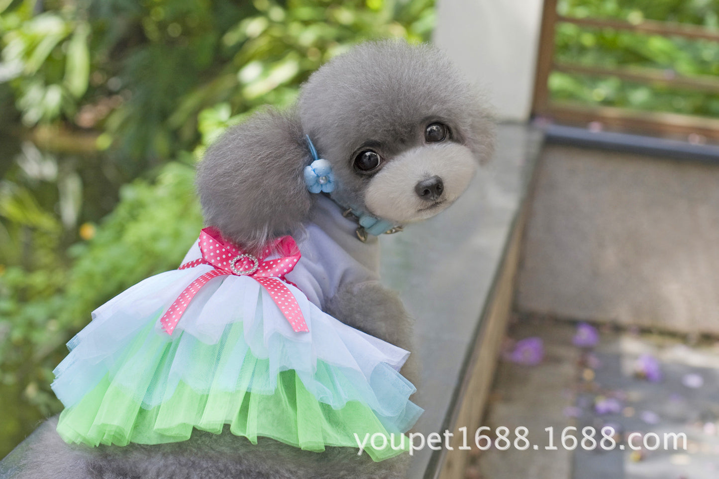 猫 犬 洋服 犬服 ペット服 大中小型犬 ペット用品 犬/猫用 犬の服 ペットウエア 小型犬 中型犬 通気 可愛い ドッグウェア トレーナー 犬 服 ワンピース サロペット ビションフリーゼ 犬猫服