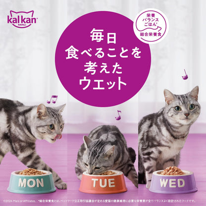 カルカン パウチ ペースト 11歳から 60g×12袋 着色料・発色剤 無添加 味わいとりささみ シニア 高齢期 やわらかペーストウェットフード キャットフード 総合栄養食 水分補給 毎日食べることを