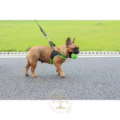 [高品質]ハーネス 犬 おしゃれ 小型犬 大型犬 中型犬 犬のハーネスリード 脱げない 発光バンド 散歩 首輪 ペット用品
