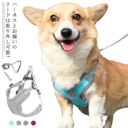 犬具 ハーネスリードセット 小型犬 ドッグ メッシュ ハーネスリード dog ベスト型 胴輪 犬用