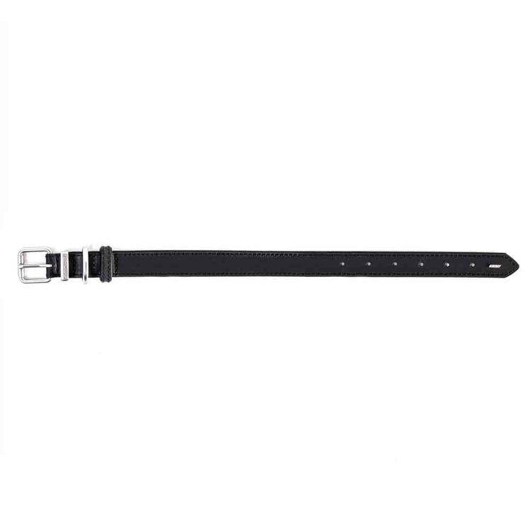【人気商品】EZ レザーカラー L