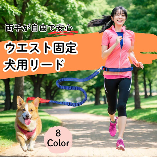 ショルダーリード ウエストリード 犬 ロングリード 伸縮 小型犬 中型犬 大型犬 頑丈 新入庫 手持ち 肩掛け ハンズフリー 伸縮 2頭 おしゃれ 丈夫 ロープ 外れ防止