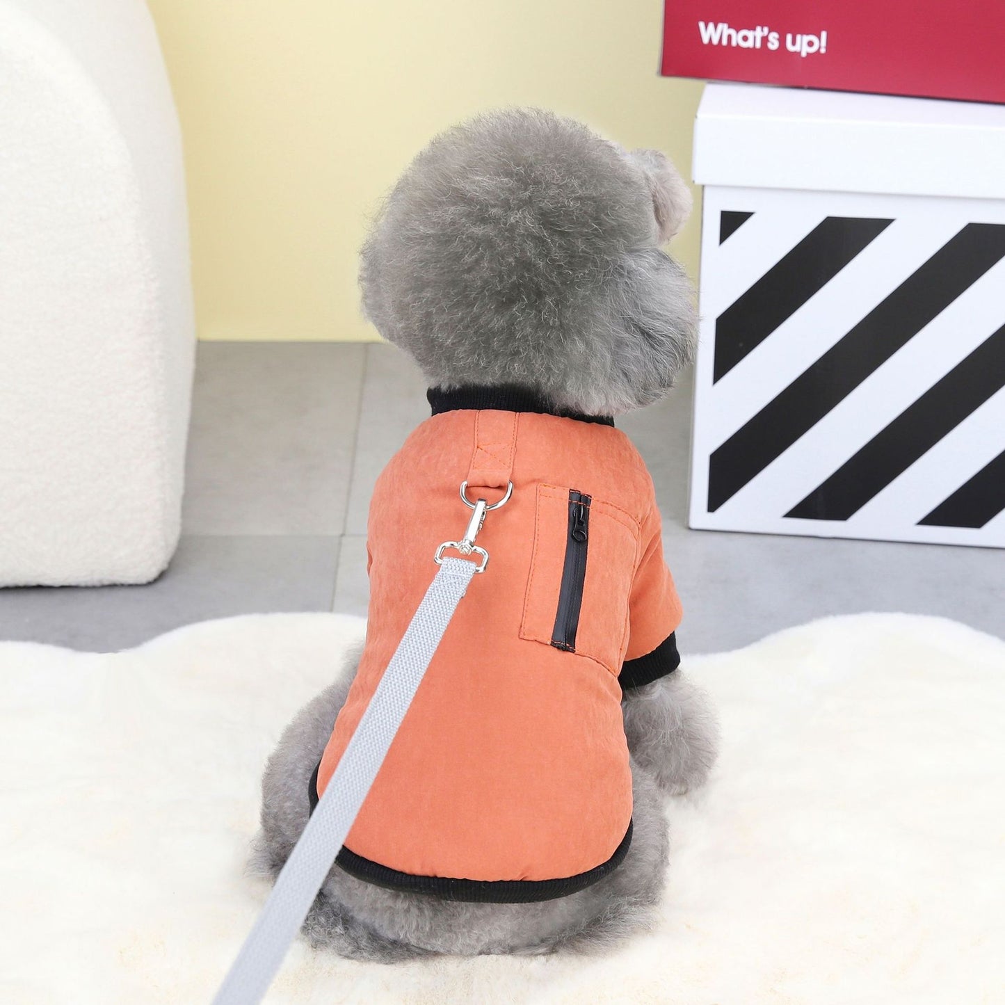 猫 犬 洋服 犬服 ペット服 大中小型犬 ペット用品 犬/猫用 犬の服 ペットウエア 小型犬 中型犬 通気 可愛い ドッグウェア トレーナー 犬 服 ワンピース サロペット ビションフリーゼ 犬猫服