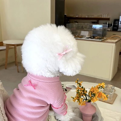[犬 服]犬 洋服 ins人気商品 ペットボトムシャツスモールパピー犬服