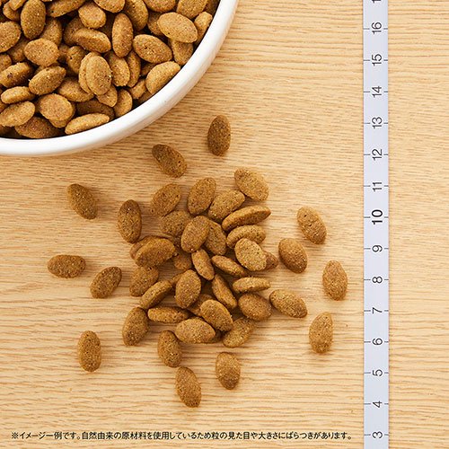 <a href="https://www.qoo10.jp/gmkt.inc/Search/brand.aspx?brandno=56208" target="_blank" class="title_brand" id="btn_brand" title="シュプレモ">シュプレモ</a>ニュートロ　小型犬用　成犬用　ミニパウチ　おまけ付　ＣＲＣ45―02―53―10―00