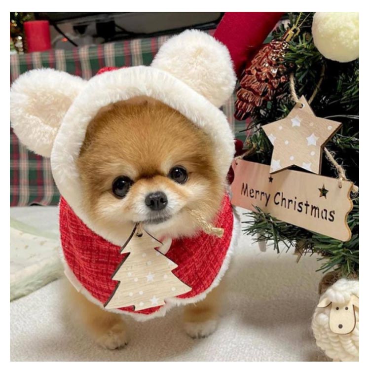 売れ 犬の服 クリスマス クリスマス 猫 フード付き 服 犬 犬服 ペット服 猫服 サンタさん コスチューム 着ぐるみ 犬服 クリスマスマント 犬用 猫用 マント マント サンタローブ コスプレ サン