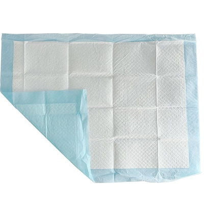 【急速出荷!】【本日限定】ペットシーツ 薄型 レギュラー 100枚 ワイド 50枚 スーパーワイド 20枚 業務用 トイレシート ペット シーツ 犬 猫
