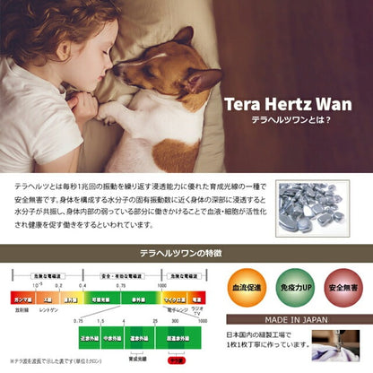 <a href="https://www.qoo10.jp/gmkt.inc/Search/brand.aspx?brandno=125763" target="_blank" class="title_brand" id="btn_brand" title="Coo Couture">Coo Couture</a>テラヘルツワンベルクロテラバンド男の子用ペット介護用品 犬用 腹巻 小型犬 シニア犬 犬服 テラヘルツワン 日本製 メール便1点まで 1メ-2運 7220 【T】