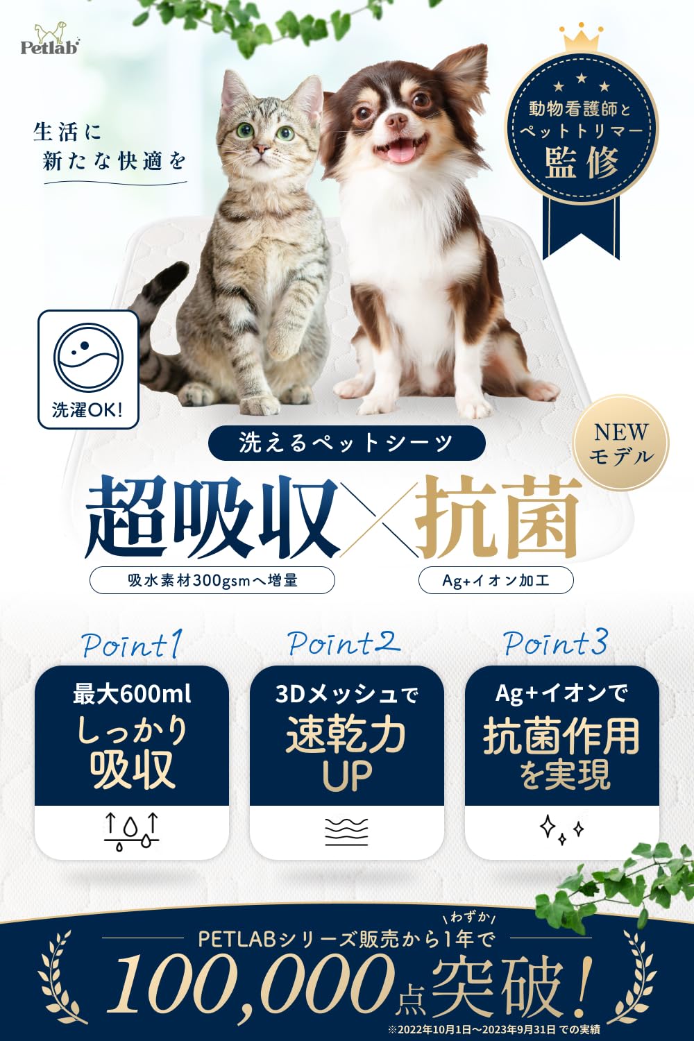 【瞬間吸水モデル × 動物看護師と開発】洗えるペットシーツ 2枚入り 犬猫兼用 速乾3Dメッシュ 再利用可能犬用トレーニングパッド [厚労省が安全性を認めた銀イオンによる抗菌・防カビ加工] (XL (