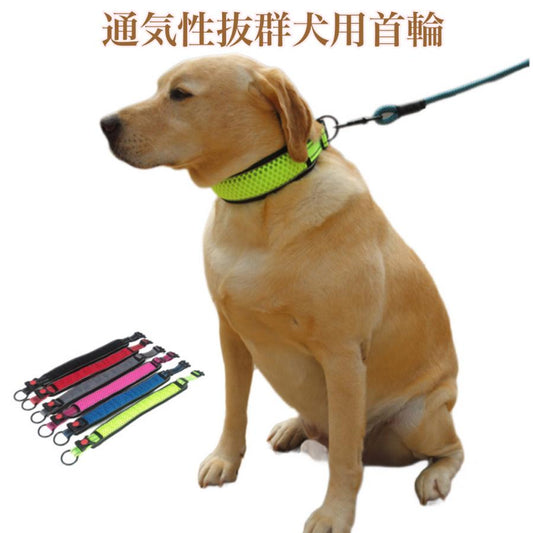 柴犬 小型犬 犬 首輪 犬用首輪 チワワ 迷子札 トイプードル 犬首輪 犬の首輪 おしゃれ いぬ 中型犬 くびわ 小型犬用 犬の首輪 かわいい 軽い