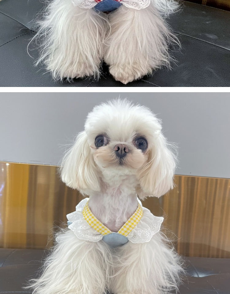 春夏新作 犬服 ペット服 犬 洋服 ペット 犬用品 小中型犬 ペットの犬の服 ワンピース 小型犬 夏 薄い部分 リード付き