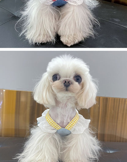春夏新作 犬服 ペット服 犬 洋服 ペット 犬用品 小中型犬 ペットの犬の服 ワンピース 小型犬 夏 薄い部分 リード付き