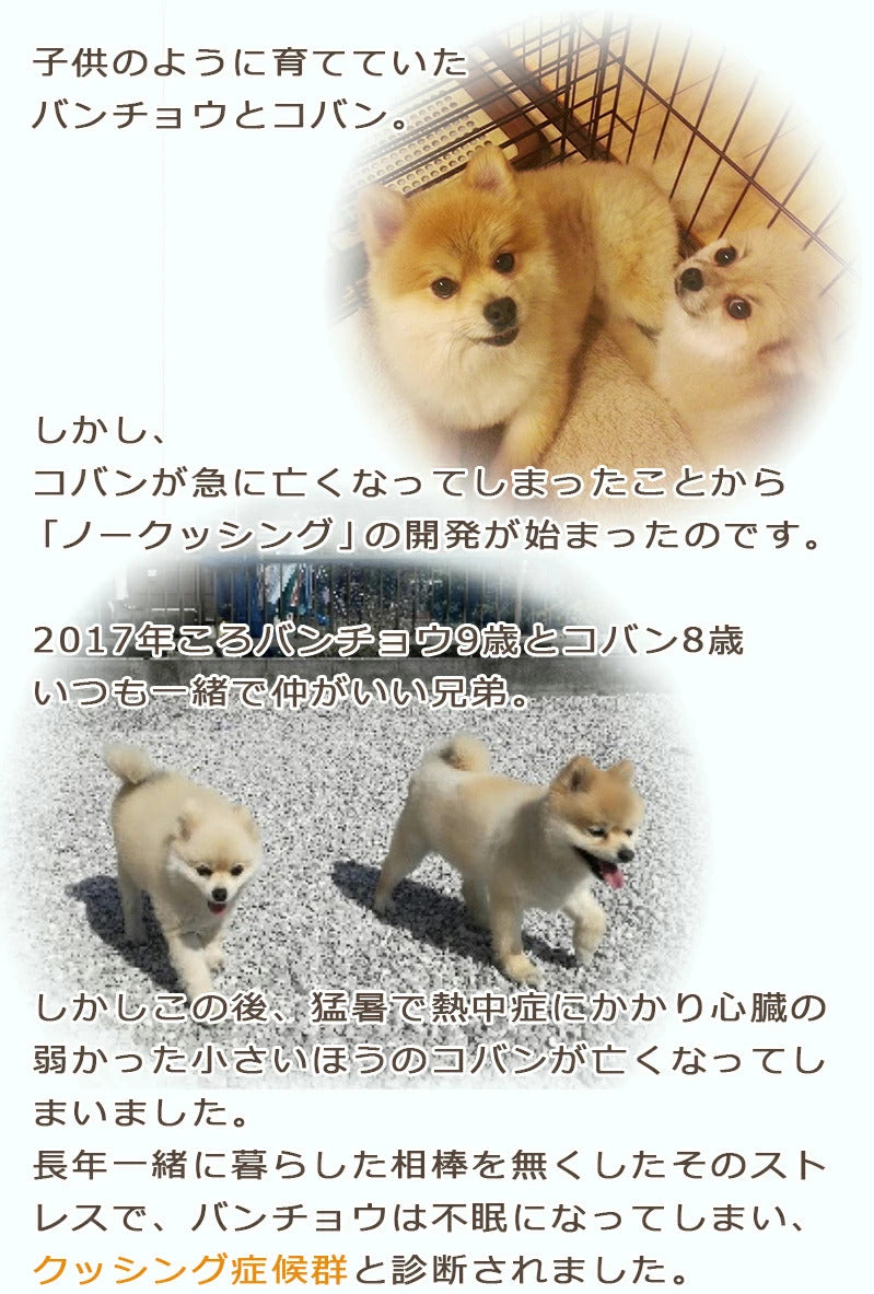 ペット用サプリ ノークッシング 犬 クッシング 対策 サプリ