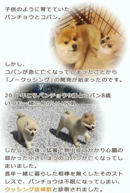ペット用サプリ ノークッシング 犬 クッシング 対策 サプリ