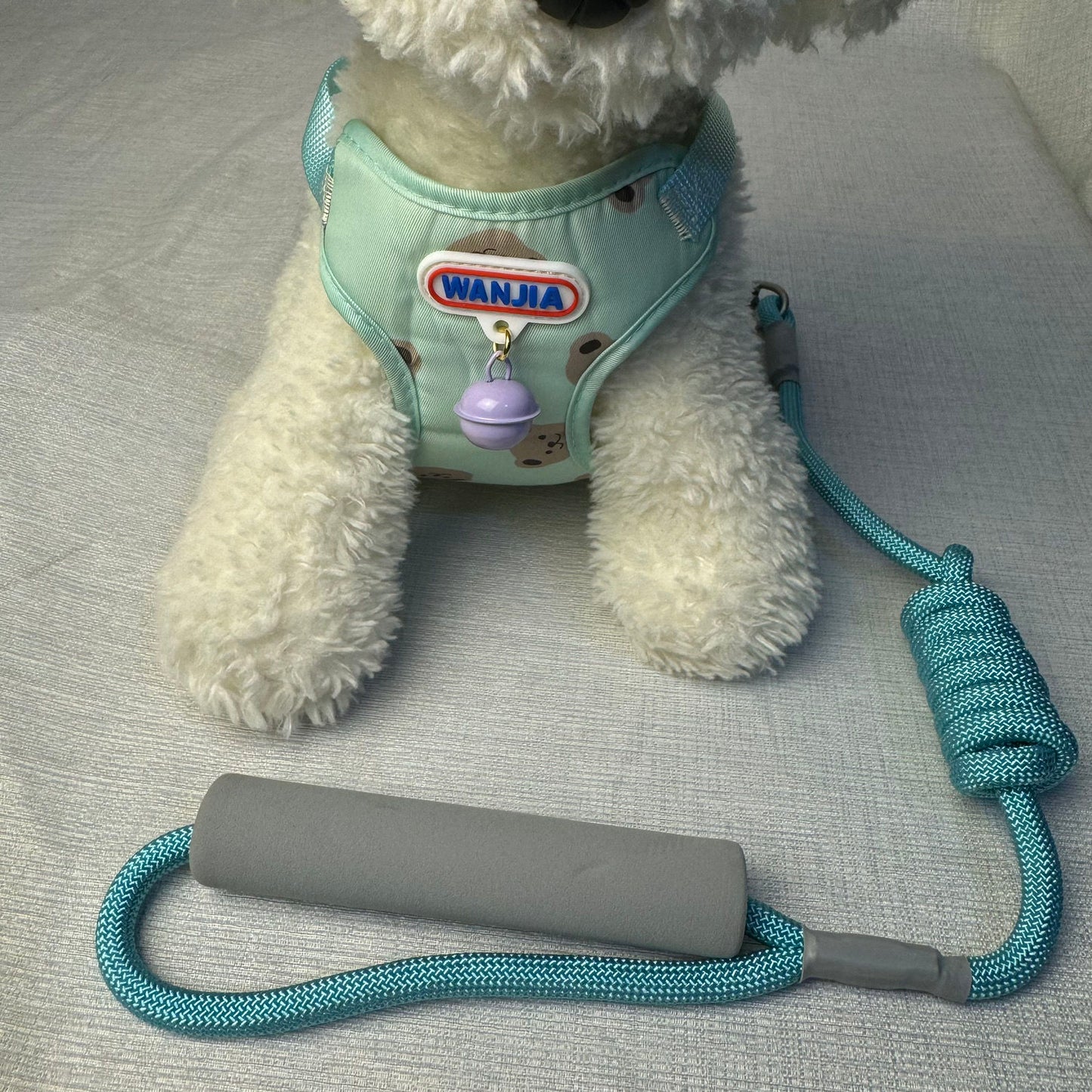 新型ベスト犬牽引ロープ犬チェーン快適通気防止中小型犬通用外出可愛い メガ割ワンピースパンツトートバッグ
