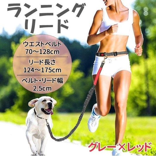 新商品プロモーション，数量限定 リード 犬 ハンズフリー 犬と一緒にランニング ジョギング 腰に巻ける ウエスト マルチ ペット用品リード 犬