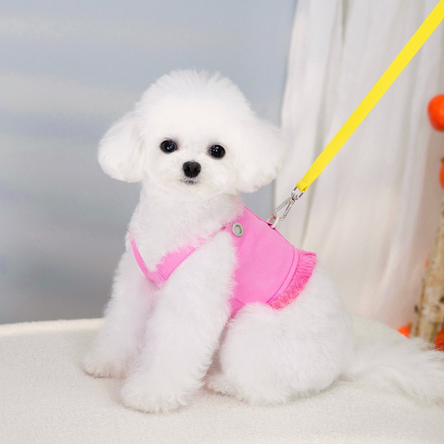 猫 犬 洋服 犬服 ペット服 大中小型犬 ペット用品 犬/猫用 犬の服 ペットウエア 小型犬 中型犬 通気 可愛い ドッグウェア トレーナー 犬 服 ワンピース サロペット ビションフリーゼ 犬猫服