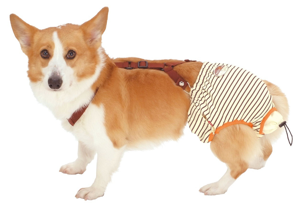 <a href="https://www.qoo10.jp/gmkt.inc/Search/brand.aspx?brandno=66334" target="_blank" class="title_brand" id="btn_brand" title="ペティオ">ペティオ</a>zuttone ずっとね 老犬介護用 おむつパッド L シーツ おむつパンツ 中型犬 15kg