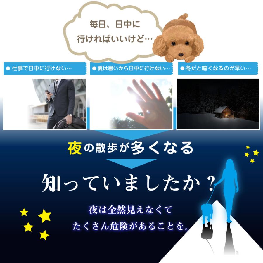 中型 猫 首輪 小型 ペット 大型 LED 充電式 光る 犬 ライト カラー