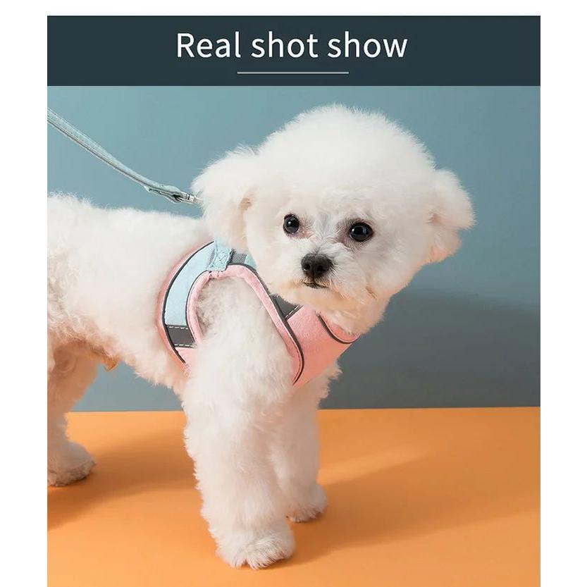 新商品プロモーション，数量限定 犬 猫 ハーネス リード付 カラフル ツートン ウェアハーネス ペット 服 胴輪 キャット ドッグ犬 猫