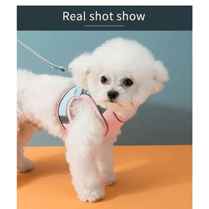 新商品プロモーション，数量限定 犬 猫 ハーネス リード付 カラフル ツートン ウェアハーネス ペット 服 胴輪 キャット ドッグ犬 猫