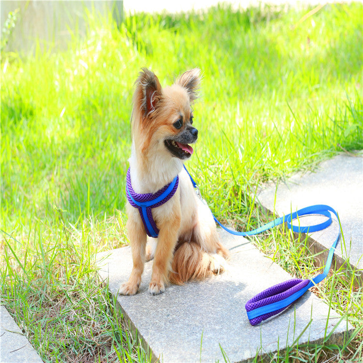 ハーネスリードセット お出かけ ネコ用ハーネス 犬 軽量 胴輪 ペット用品 55 2点セット リード 中型犬 小型犬 シンプル お散歩 犬用 ハーネス 簡単装着 リーシュ 犬用ハーネス 猫用 ペットハ