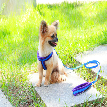 ハーネスリードセット お出かけ ネコ用ハーネス 犬 軽量 胴輪 ペット用品 55 2点セット リード 中型犬 小型犬 シンプル お散歩 犬用 ハーネス 簡単装着 リーシュ 犬用ハーネス 猫用 ペットハ