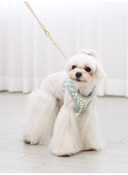 韓国版の中で小型の犬のテディは熊のコーキに比べて外出して犬を散歩します メガ割ワンピースパンツトートバッグ