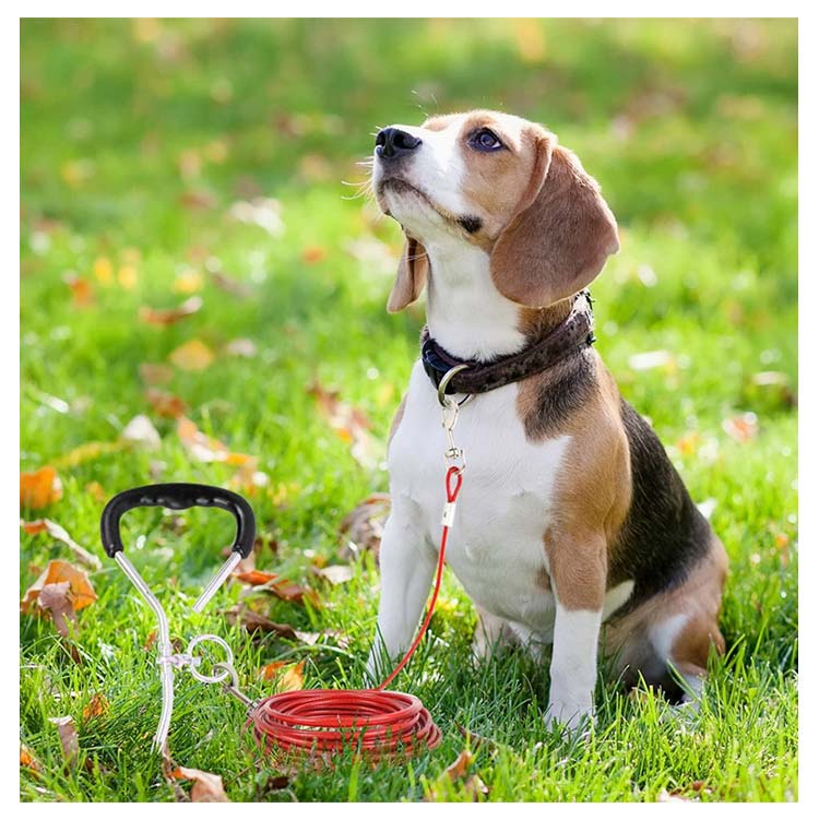 【早い者勝ちタイムセール】切れないリード ステンレス 大型犬 チューブ 犬用リード 錆びにくく リード 中型犬 犬の散歩 ワイヤー入り 切れないリード ワイヤーリード ドッグリード ロングリード 3M