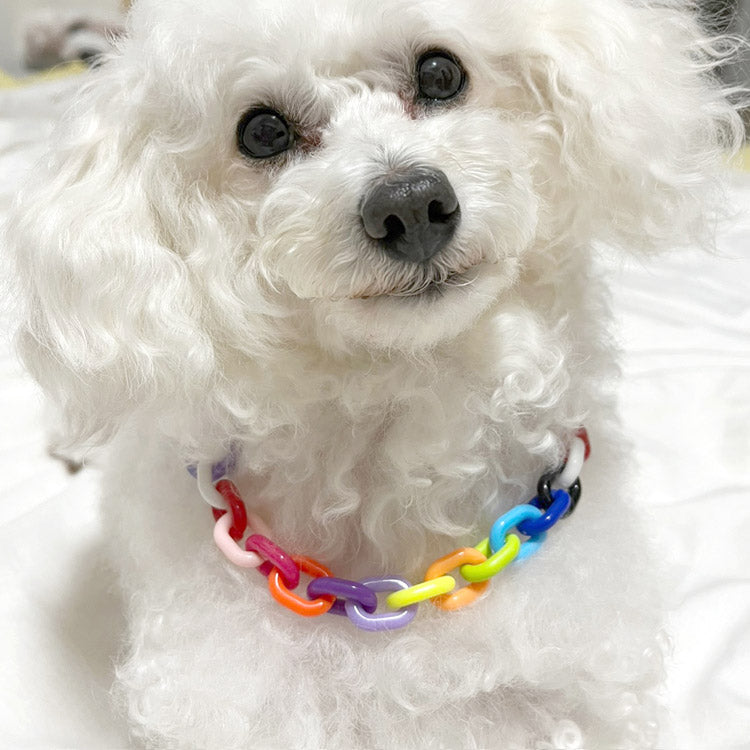ペットチェーンカラーネックレス ペット用首輪 首輪 犬 猫 小型犬 中型犬 可愛 ペット用アクセサリー ペットグッズ シンプルカラーペット用首輪