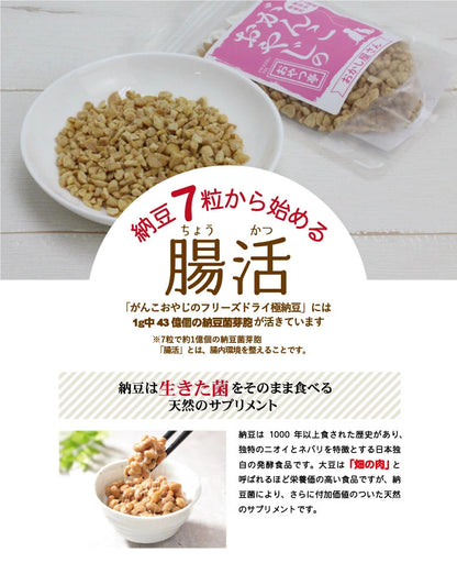 <a href="https://www.qoo10.jp/gmkt.inc/Search/brand.aspx?brandno=117154" target="_blank" class="title_brand" id="btn_brand" title="がんこおやじのおやつ亭">がんこおやじのおやつ亭</a>フリーズドライ極納豆 30g 5袋セット 追跡可能メール便