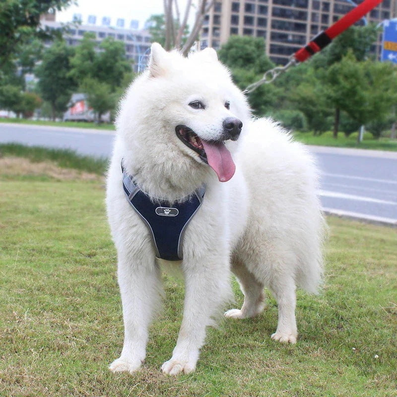 沸騰新柄追加 犬 ハーネス 犬ハーネス 胴輪 犬用ハーネス 犬のハーネス おしゃれ かわいい リード 子犬 小型犬 中型犬 脱げない リードセット 簡単装着 快適 アジャスquma