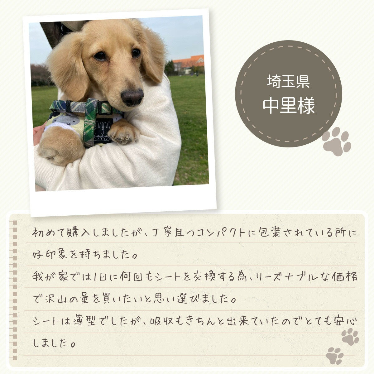<a href="https://www.qoo10.jp/gmkt.inc/Search/brand.aspx?brandno=126282" target="_blank" class="title_brand" id="btn_brand" title="Laundly">Laundly</a>最短翌日到着 ペットシーツ 小分け 薄型 ペットシート ワイド 100枚 レギュラー 200枚 スーパーワイド50枚 小分け容量 トイレシーツ 超薄型タイプ 1回使い捨て 犬 猫 トイレ シー