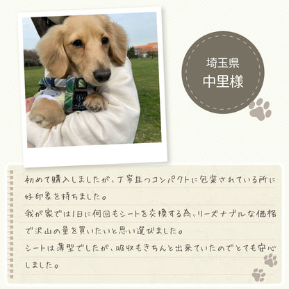 <a href="https://www.qoo10.jp/gmkt.inc/Search/brand.aspx?brandno=126282" target="_blank" class="title_brand" id="btn_brand" title="Laundly">Laundly</a>最短翌日到着 ペットシーツ 小分け 薄型 ペットシート ワイド 100枚 レギュラー 200枚 スーパーワイド50枚 小分け容量 トイレシーツ 超薄型タイプ 1回使い捨て 犬 猫 トイレ シー