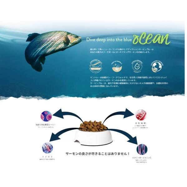 Y.K エンタープライズ Addiction アディクション サーモンブルー グレインフリー ドッグフード 1.8kg 1800g 犬 餌 サーモン 魚