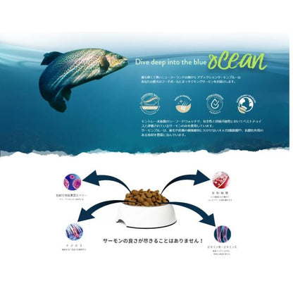 Y.K エンタープライズ Addiction アディクション サーモンブルー グレインフリー ドッグフード 1.8kg 1800g 犬 餌 サーモン 魚