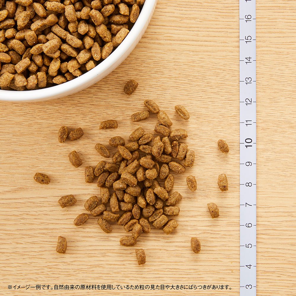 <a href="https://www.qoo10.jp/gmkt.inc/Search/brand.aspx?brandno=56208" target="_blank" class="title_brand" id="btn_brand" title="シュプレモ">シュプレモ</a>ニュートロ　子犬用　小粒　６ｋｇ＋パウチ　２袋　おまけ付　ＣＲＣ45―02―53―10―00