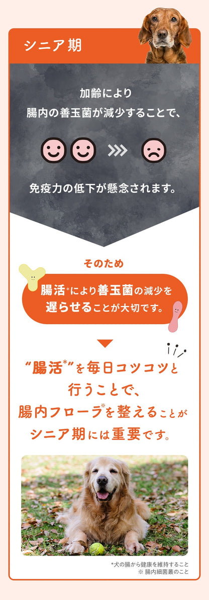 <a href="https://www.qoo10.jp/gmkt.inc/Search/brand.aspx?brandno=62316" target="_blank" class="title_brand" id="btn_brand" title="大正製薬">大正製薬</a>【公式】大正製薬 わんビオフェルミンS 40g 6袋 犬 サプリ サプリメント 腸活 免疫力 健康維持 ビフィズス菌 乳酸菌 犬サプリ イヌ 犬用 ペット 腸活サプリ 無添加 ふりかけ 粉 腸内環境