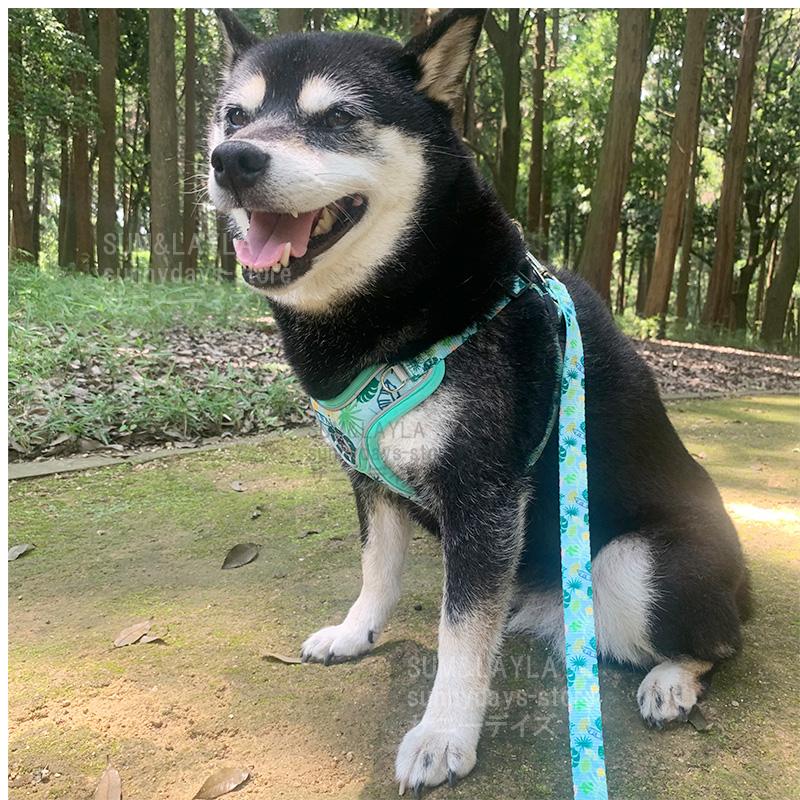 ソフトハーネス 犬用 犬 柴犬 快適 脱げない ソフトパッド 老犬 ハーネス 犬 痛くない メッシュ 簡単装着 犬 おしゃれ 通気性 抜けない ハーネス ハーネス 胴輪