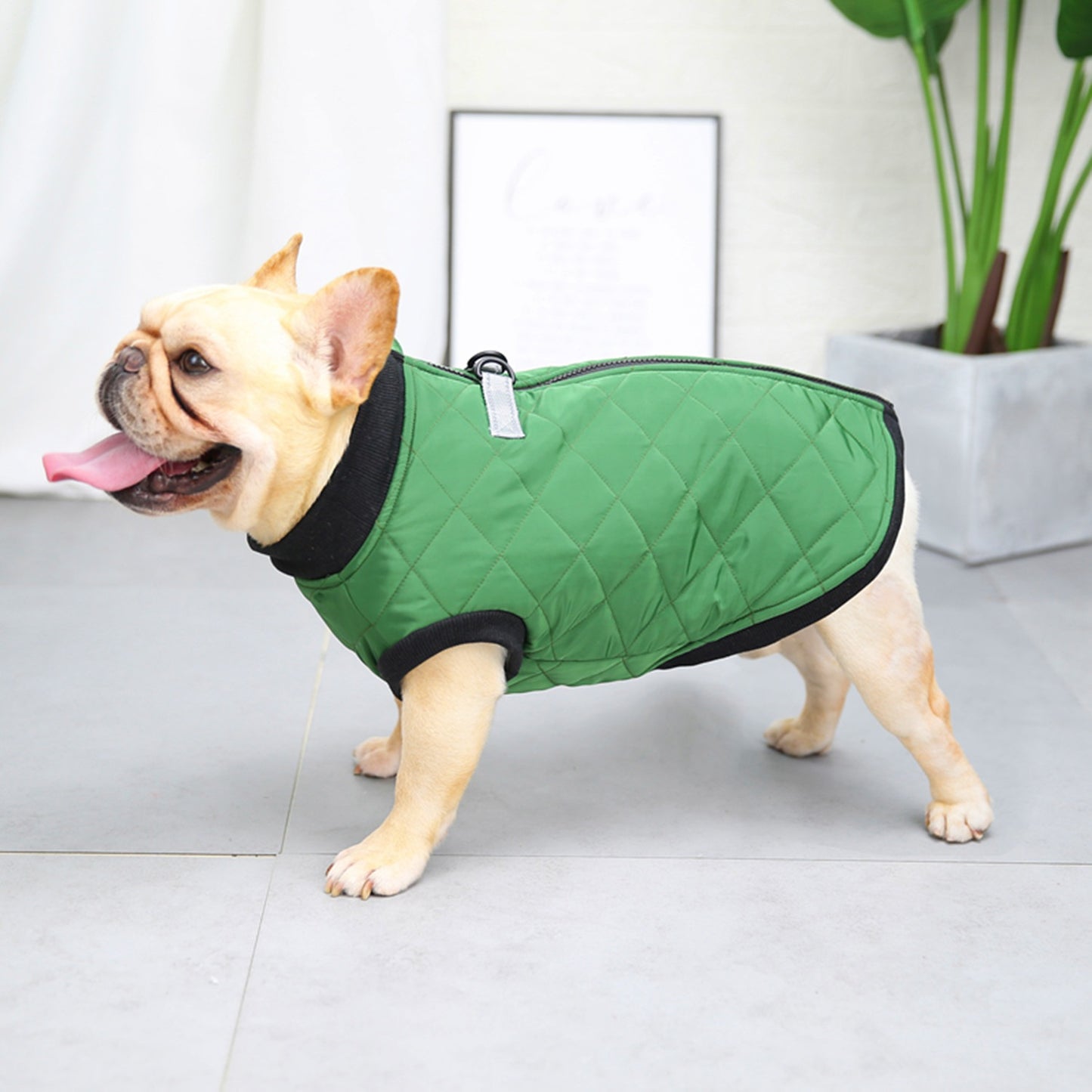 猫 犬 洋服 犬服 ペット服 大中小型犬 ペット用品 犬/猫用 犬の服 ペットウエア 小型犬 中型犬 通気 可愛い ドッグウェア トレーナー 犬 服 ワンピース サロペット ビションフリーゼ 犬猫服