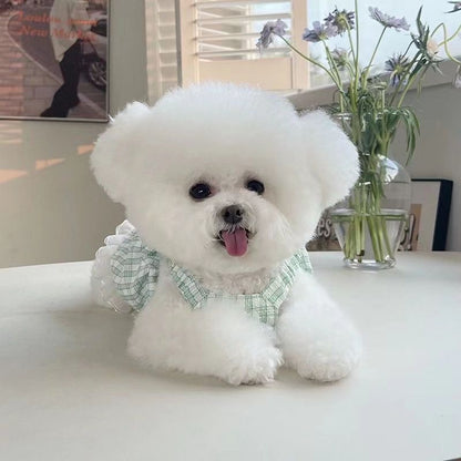春夏新作 薄手のチョッキ ペット 蝶結び ペットの服 ペット用品 犬猫 服 洋服