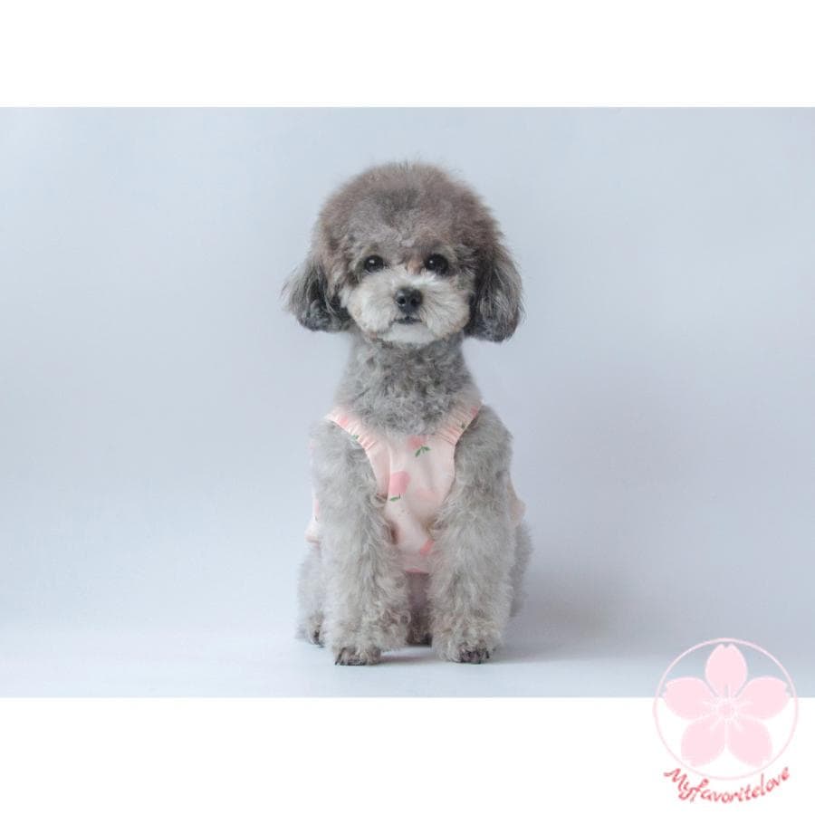 新作登場 ぺット 服 安い 犬 春 夏 ピーチ 柄 キャミソール かわいい 可愛い ハイブランド 猫 ドッグ ウェア