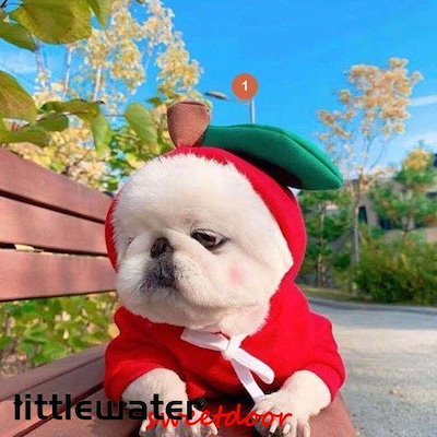 犬 服 フード 生地 暖かいドッグウェア パーカー クリスマス 仮装 りんご にんじん バナナ ペット服 ペット 犬 犬服 犬用 小型犬 コスチューム 秋冬 冬